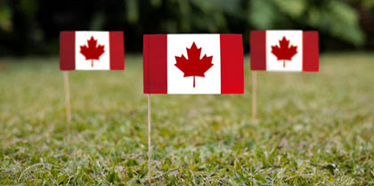 PNP-Business-Immigration-(Busniess-Page)